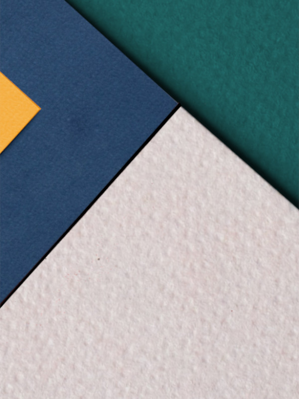 Eskola feminista: Oinarriak lantzen eskola eremuan